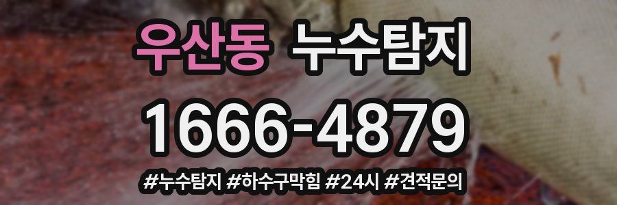 누수닥터 누수탐지