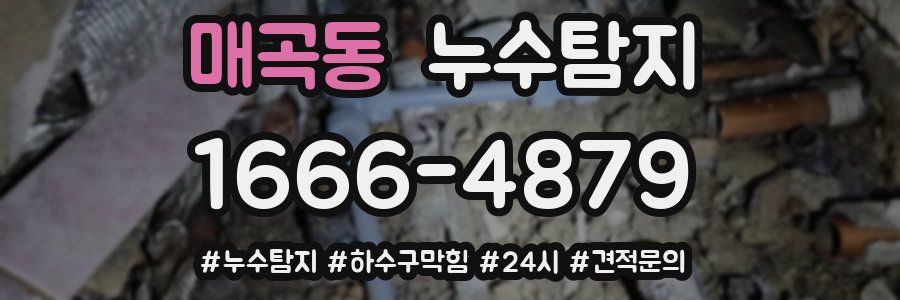 누수닥터 누수탐지
