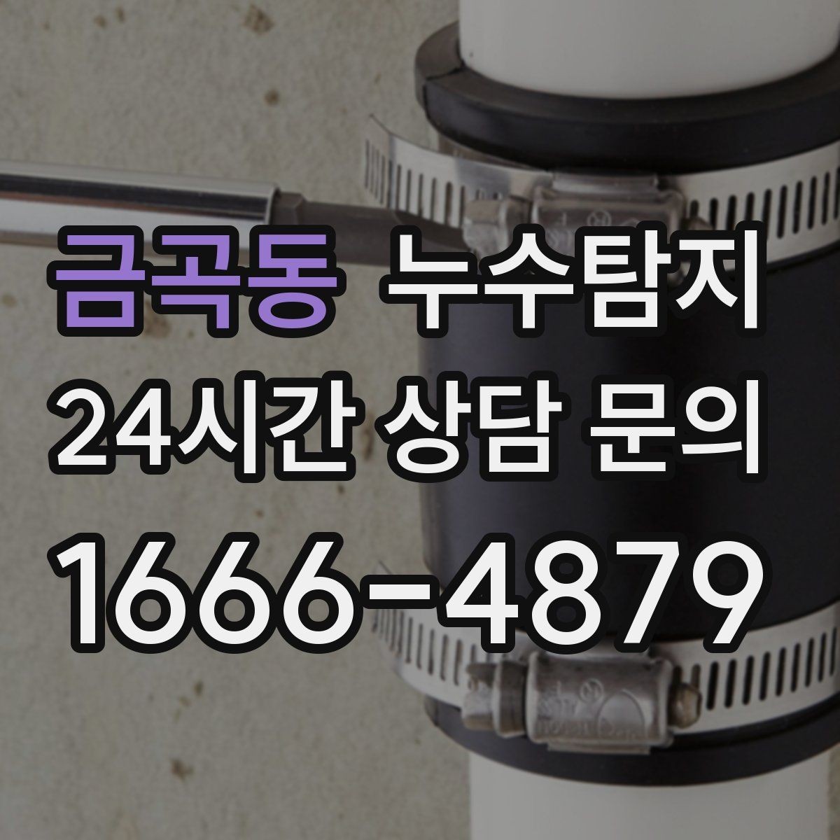 금곡동 누수탐지 빠른 대처가 비용을 줄인 사례