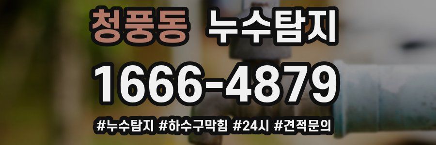 누수닥터 누수탐지