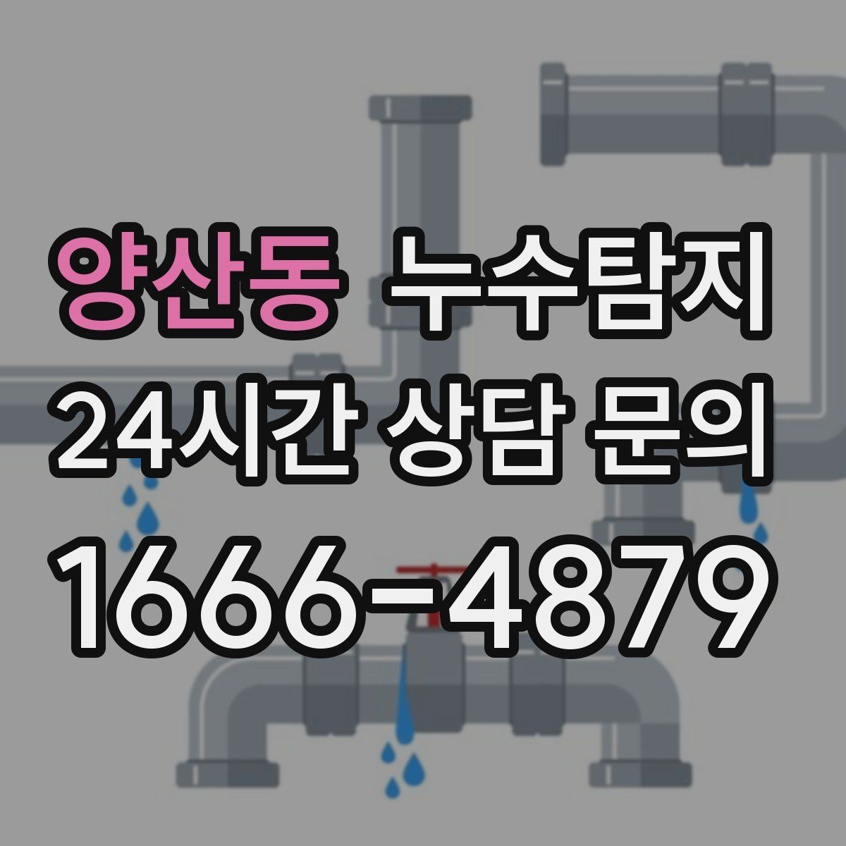 양산동 누수탐지 가구 뒤 곰팡이 원인 파헤치기