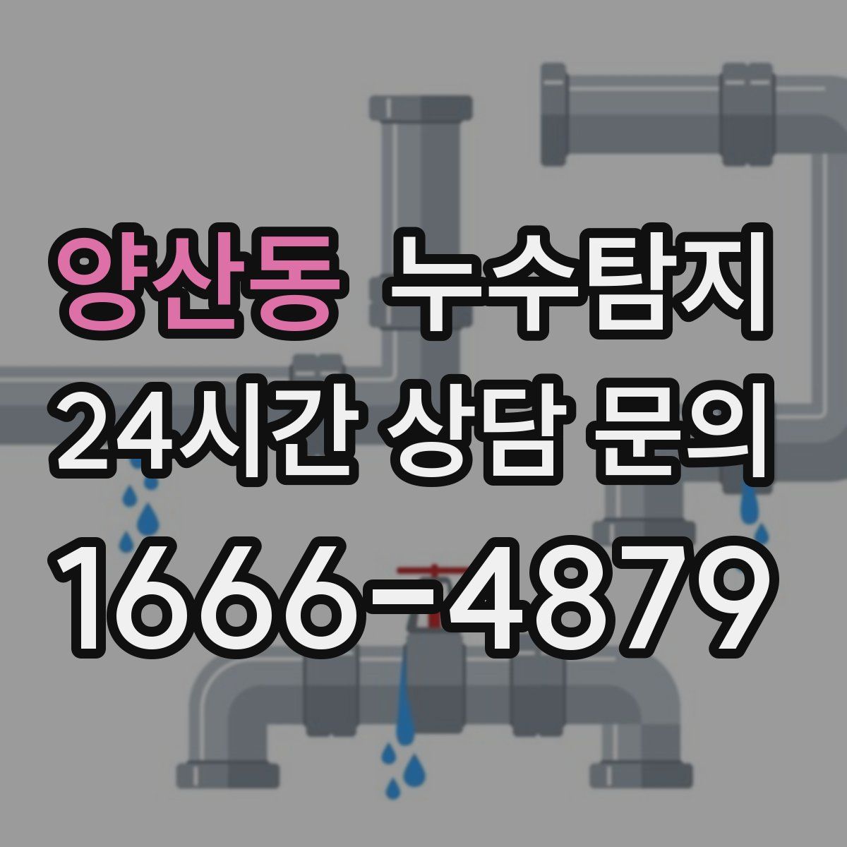 누수탐지