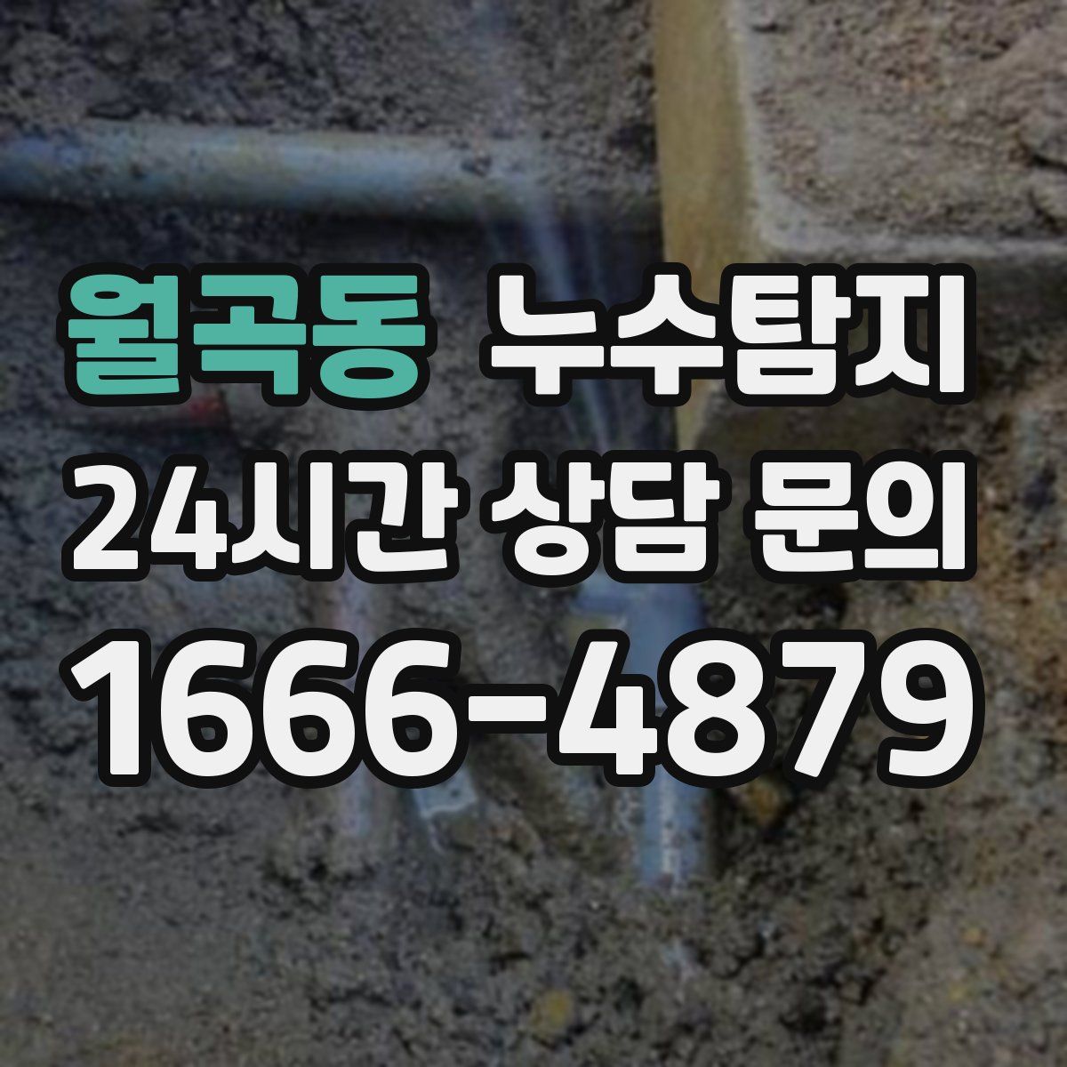 누수탐지