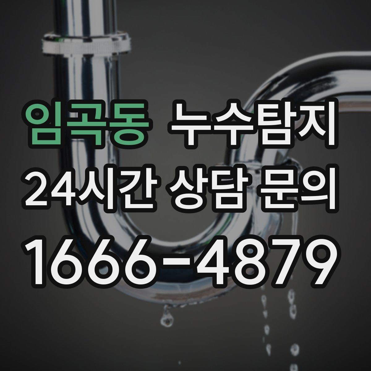 임곡동 누수탐지 데이터 기반 진단이 준 신뢰