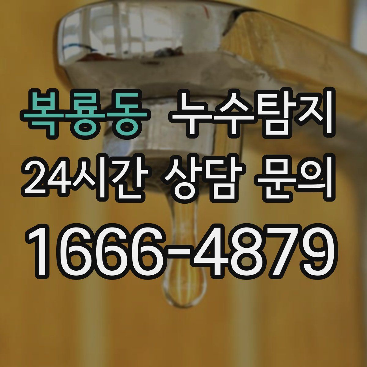 복룡동 누수탐지 전문가와 함께한 현장 진단 이야기