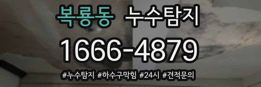 누수닥터 누수탐지