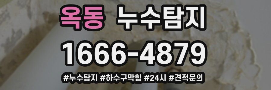누수닥터 누수탐지