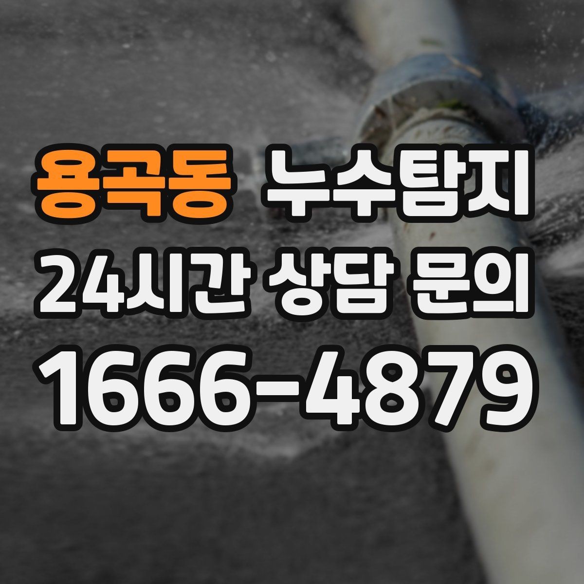 용곡동 누수탐지 전문 진단 서비스