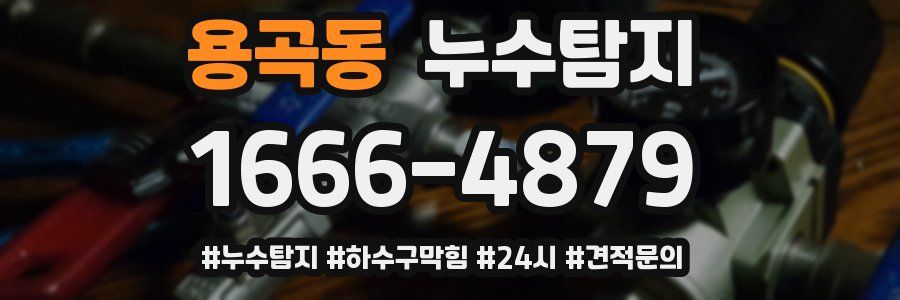 누수닥터 누수탐지