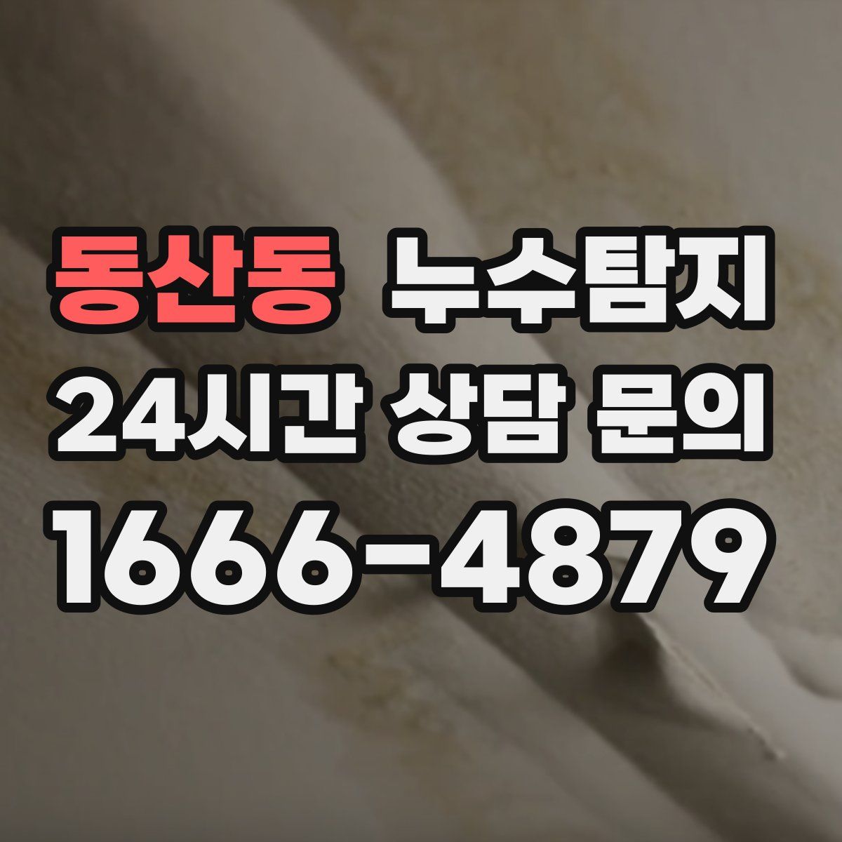 누수탐지