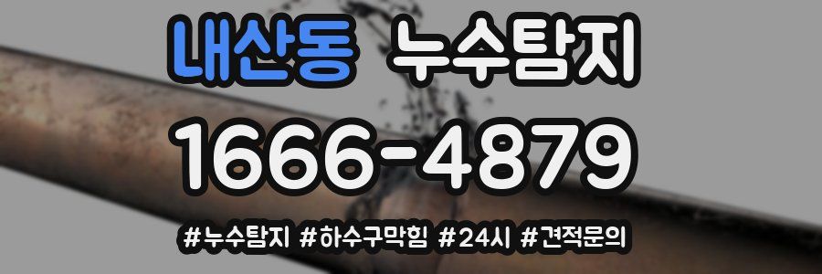 누수닥터 누수탐지
