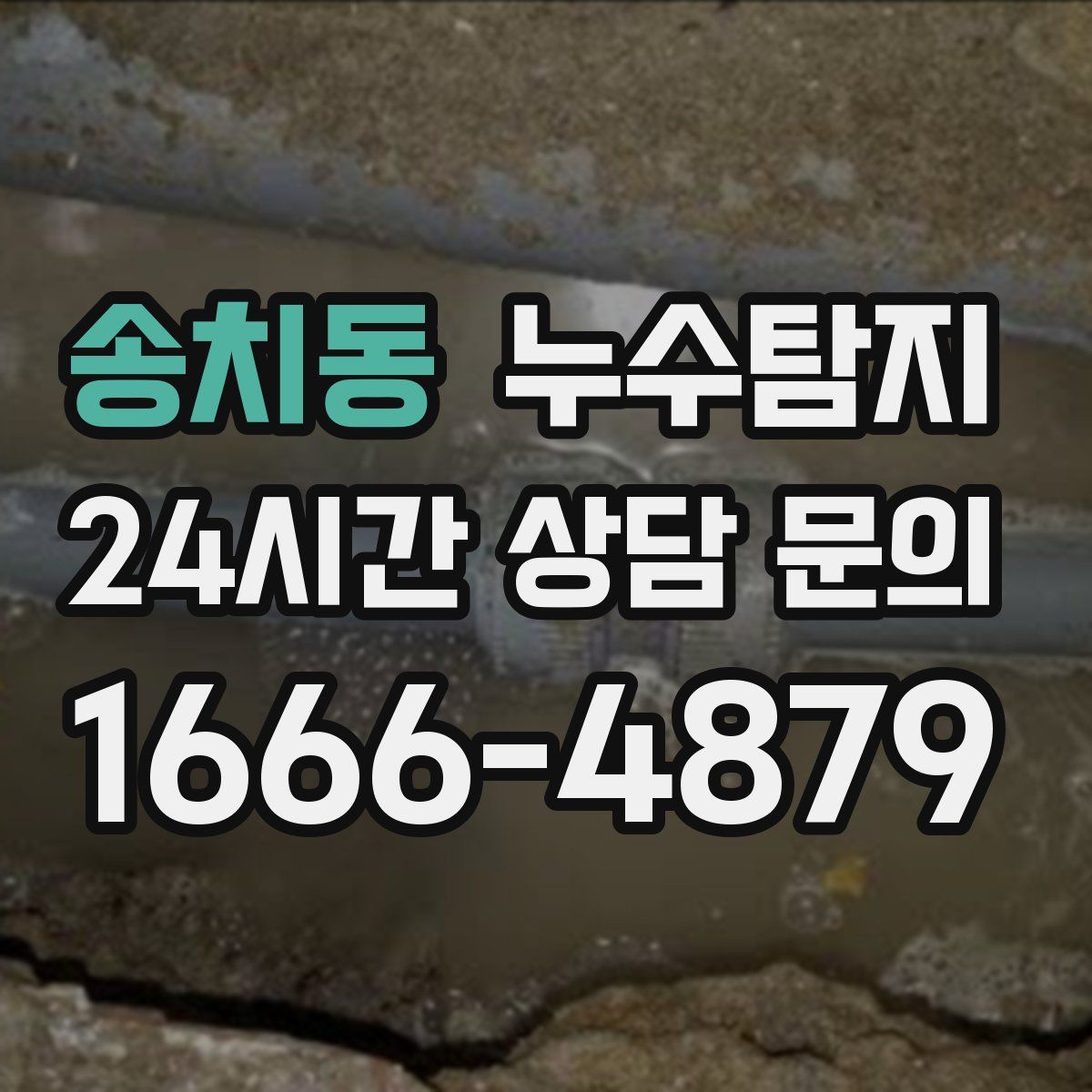 누수탐지