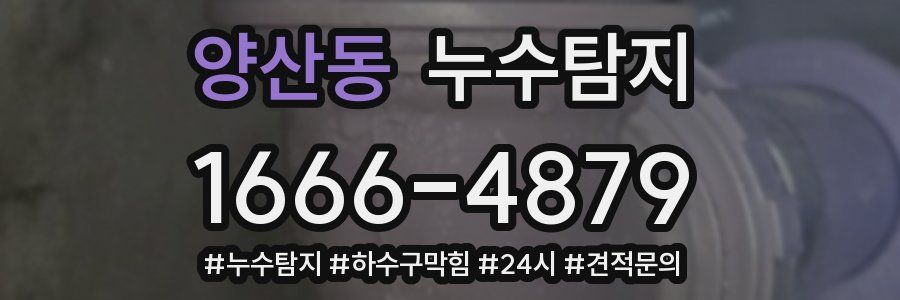 누수닥터 누수탐지