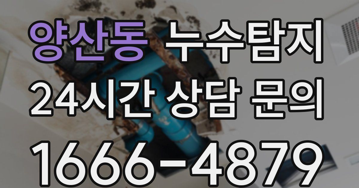 하수구막힘