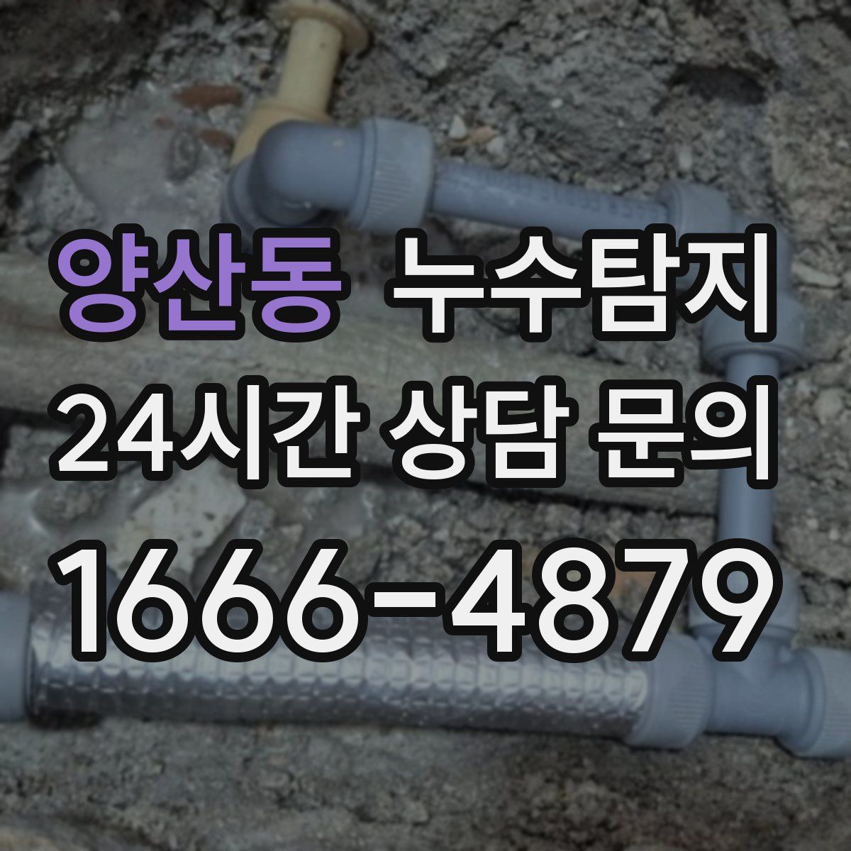 누수탐지