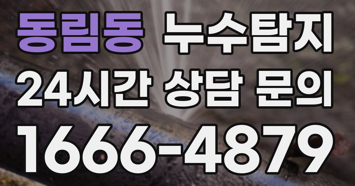 하수구막힘