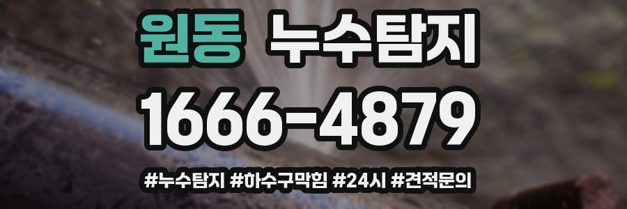 누수닥터 누수탐지