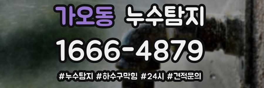 누수닥터 누수탐지