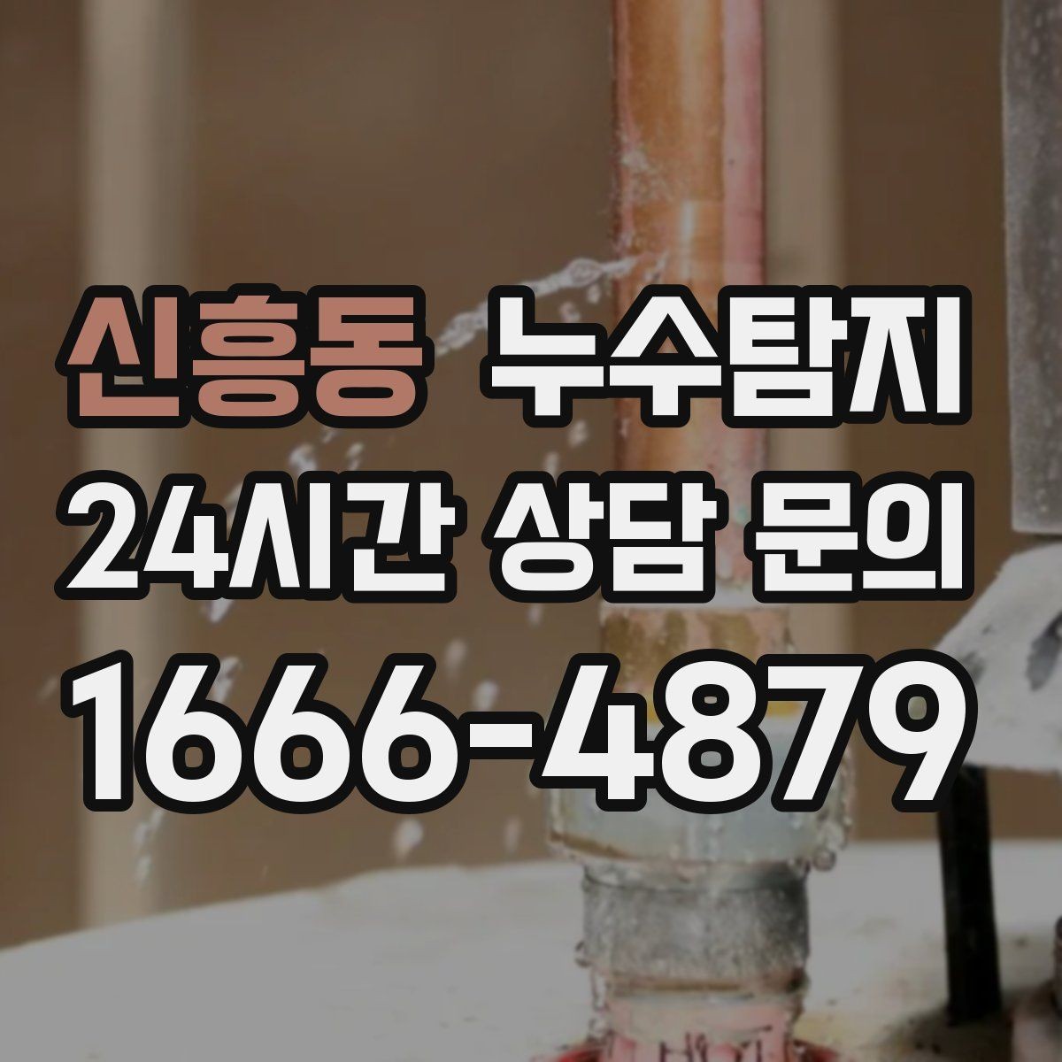 신흥동 누수탐지 정밀하게 숨어있는 누수를 확실하게 진단합니다.