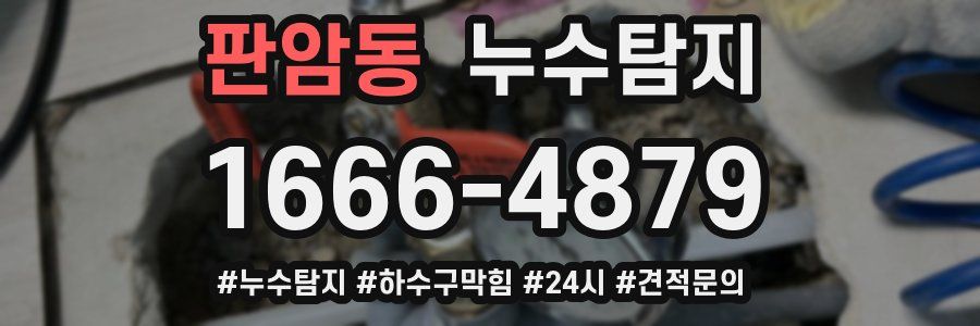 누수닥터 누수탐지