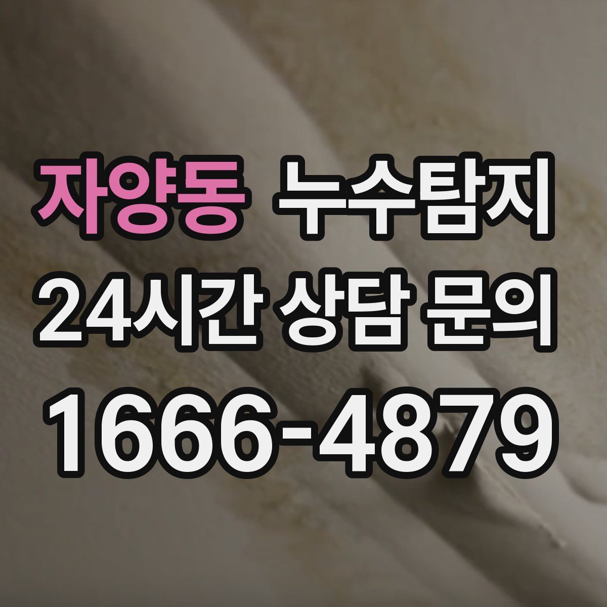 누수탐지