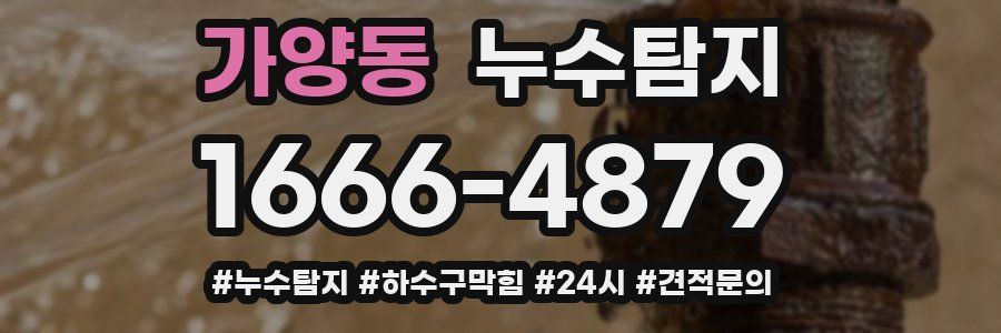누수닥터 누수탐지