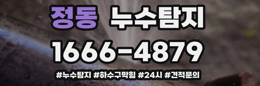 누수닥터 누수탐지