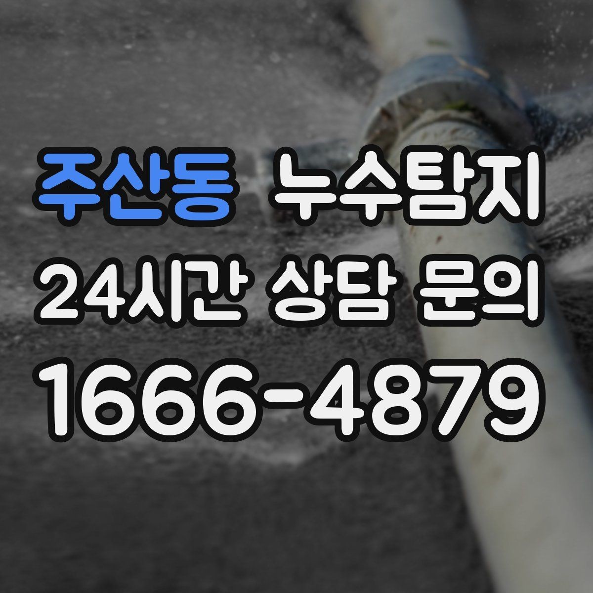 주산동 누수탐지 하부장 곰팡이 정리하고 재발 방지