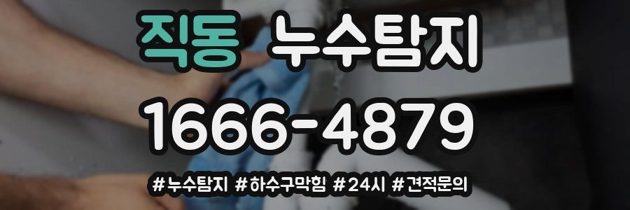 누수닥터 누수탐지