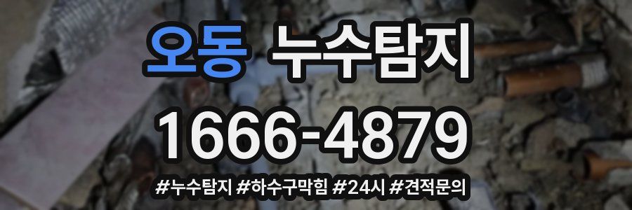 누수닥터 누수탐지
