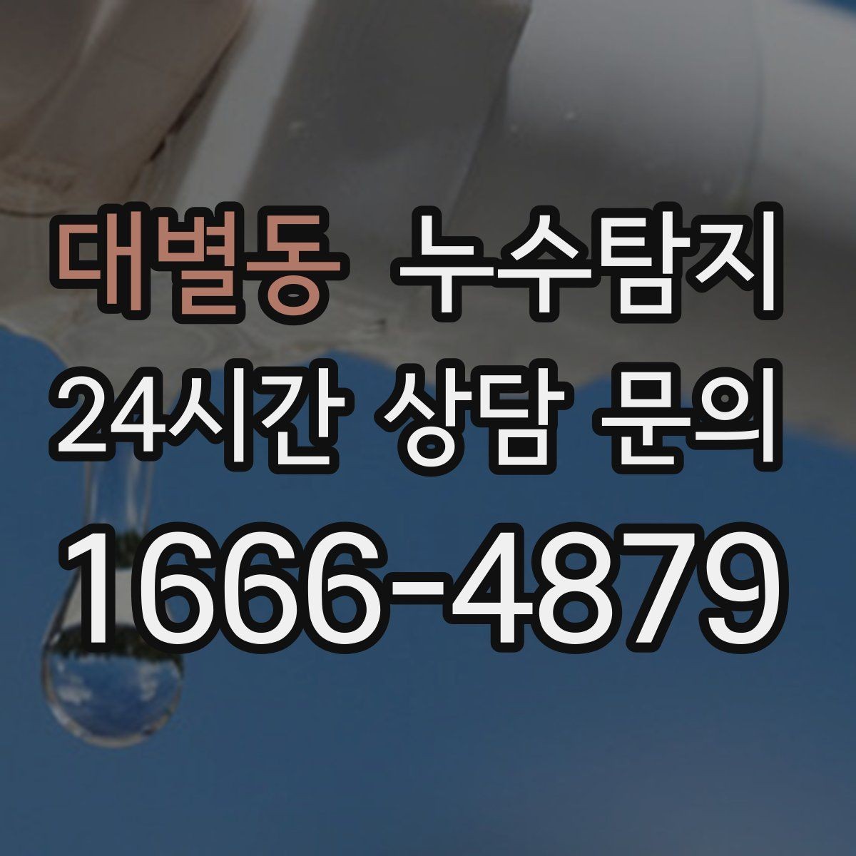 대별동 누수탐지 슬래브 누수 의심 구간 찾기