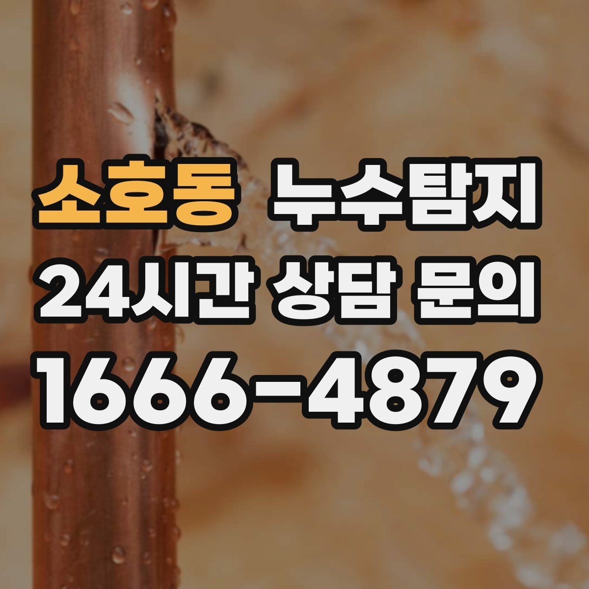 소호동 누수탐지 전문가와 함께한 현장 진단 이야기