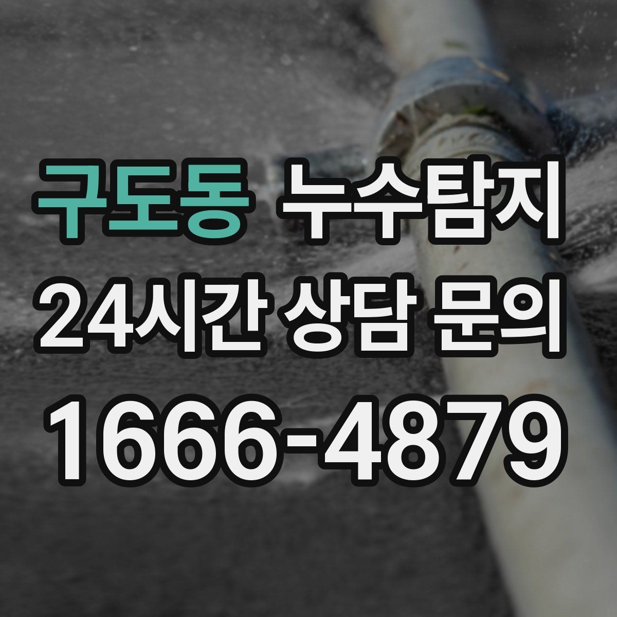 구도동 누수탐지 실내 곰팡이와 악취 방지를 위한 방법