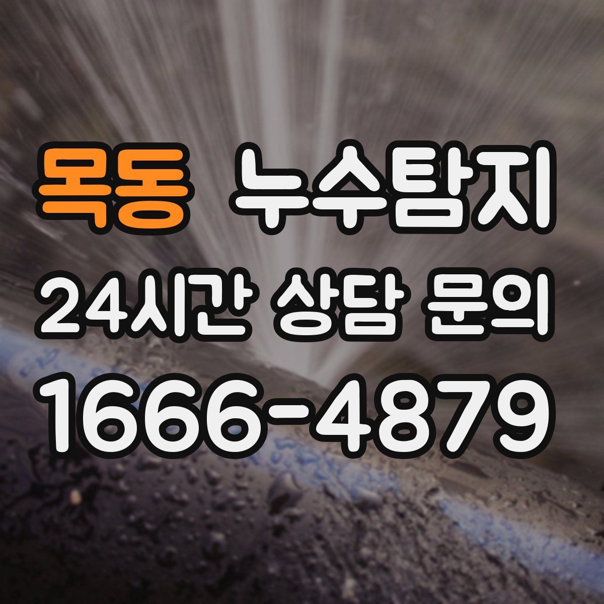 누수탐지