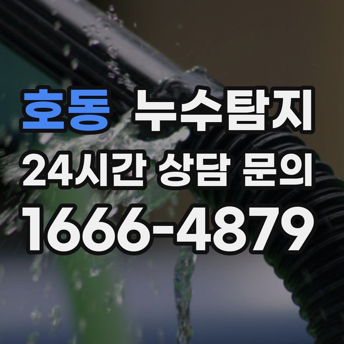 호동 누수탐지 빠른 판단이 막은 2차 피해