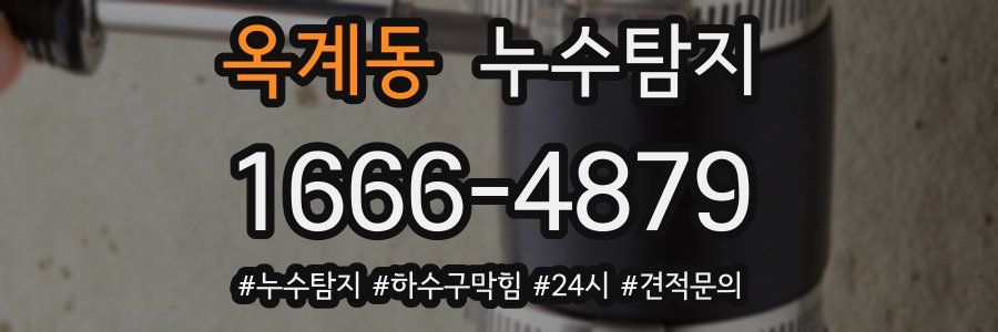 누수닥터 누수탐지
