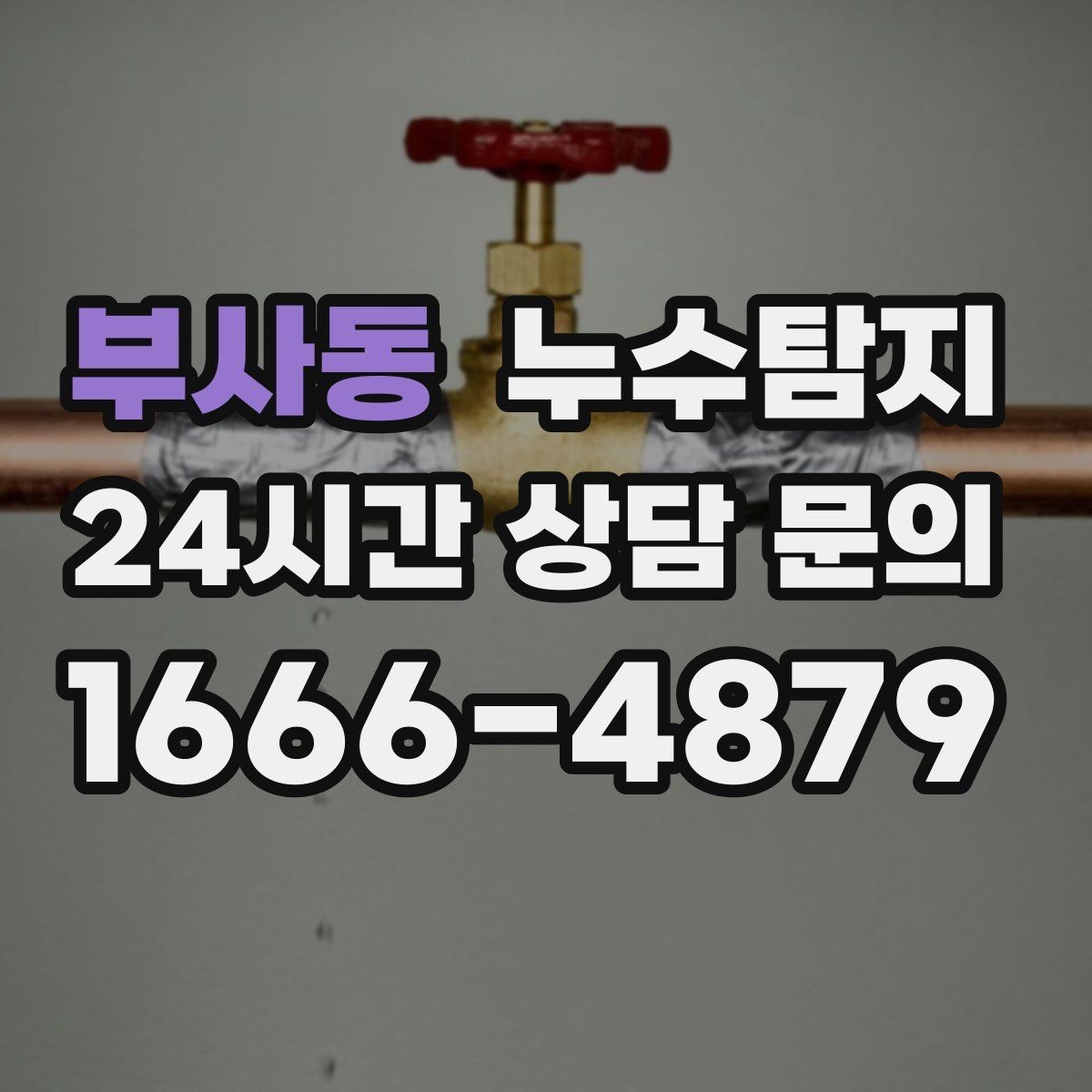 부사동 누수탐지 드레스룸 곰팡이 청결 회복