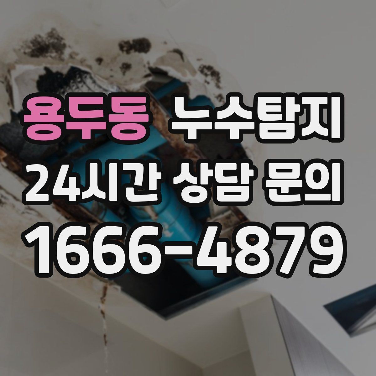 용두동 누수탐지 옥상 지붕 누수 점검