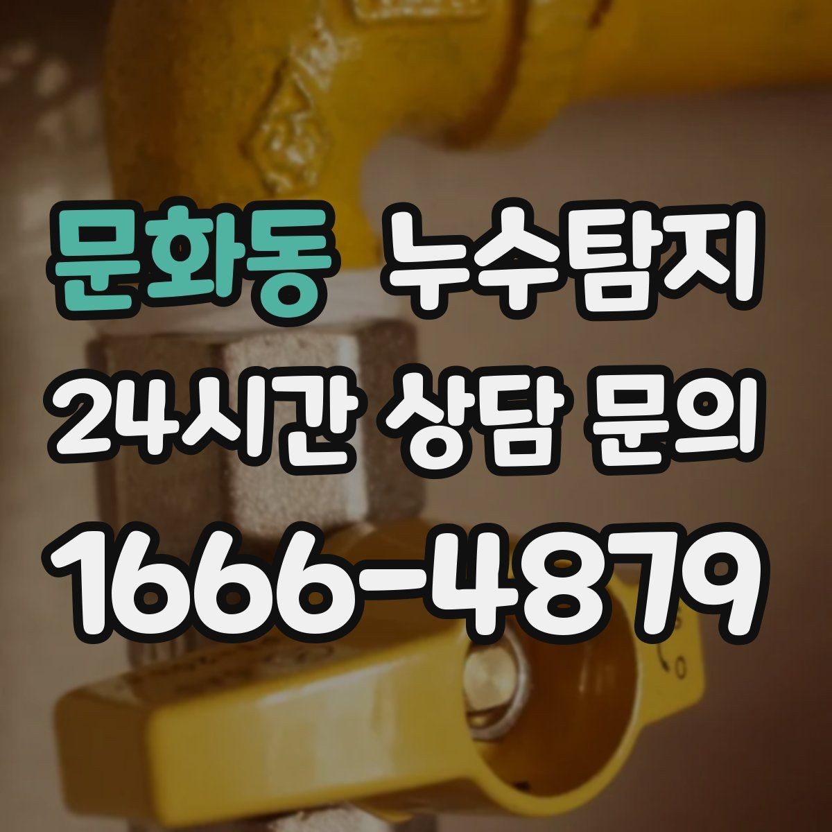 문화동 누수탐지 하부장 곰팡이 정리하고 재발 방지