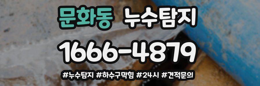 누수닥터 누수탐지