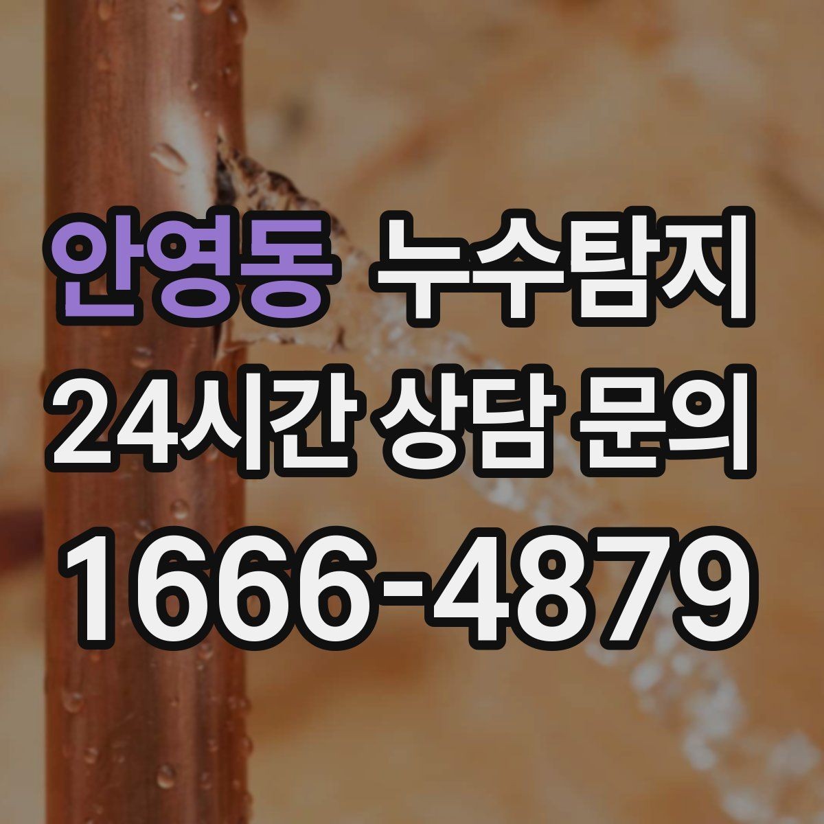 안영동 누수탐지 천장 석고보드 내부 점검해보니