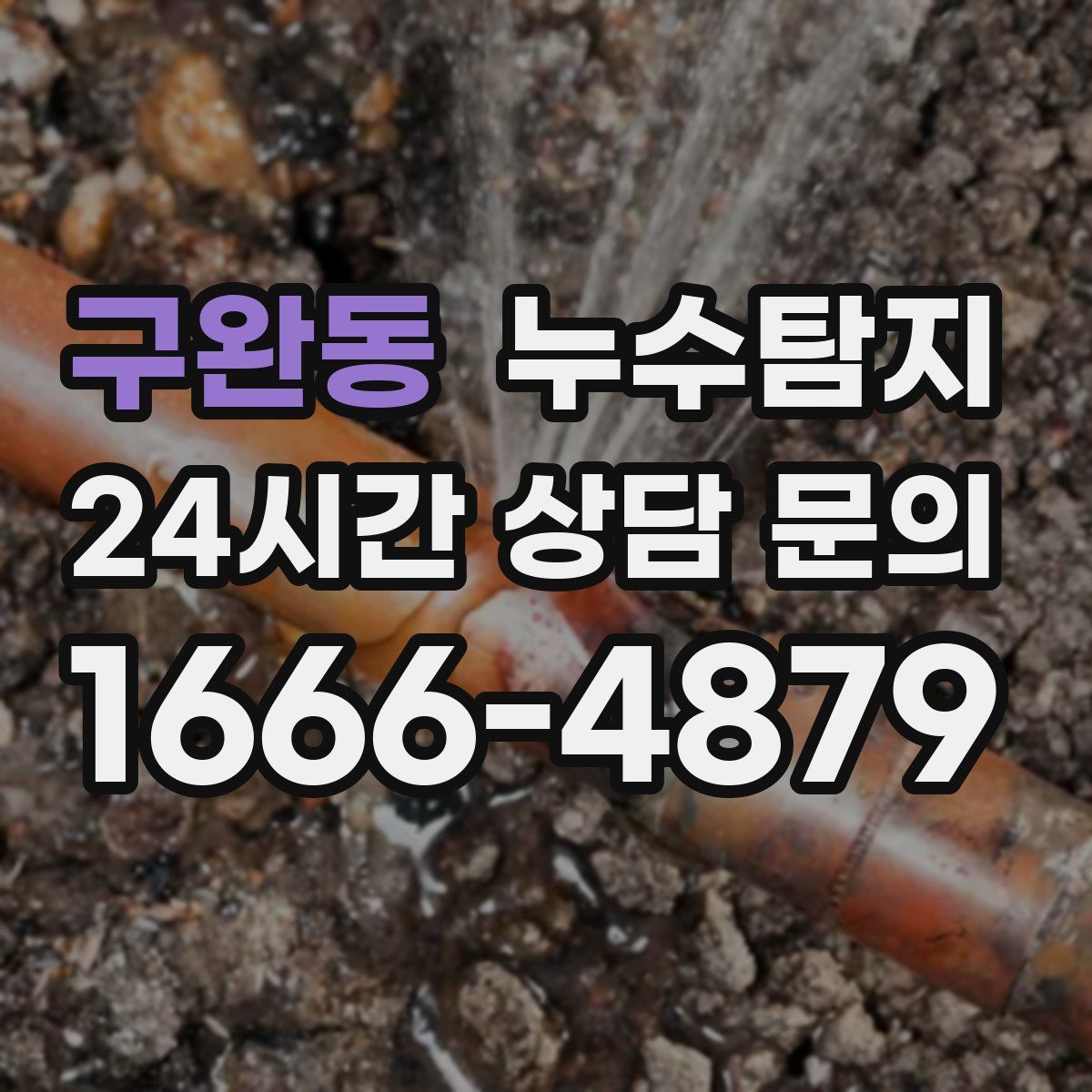 누수탐지