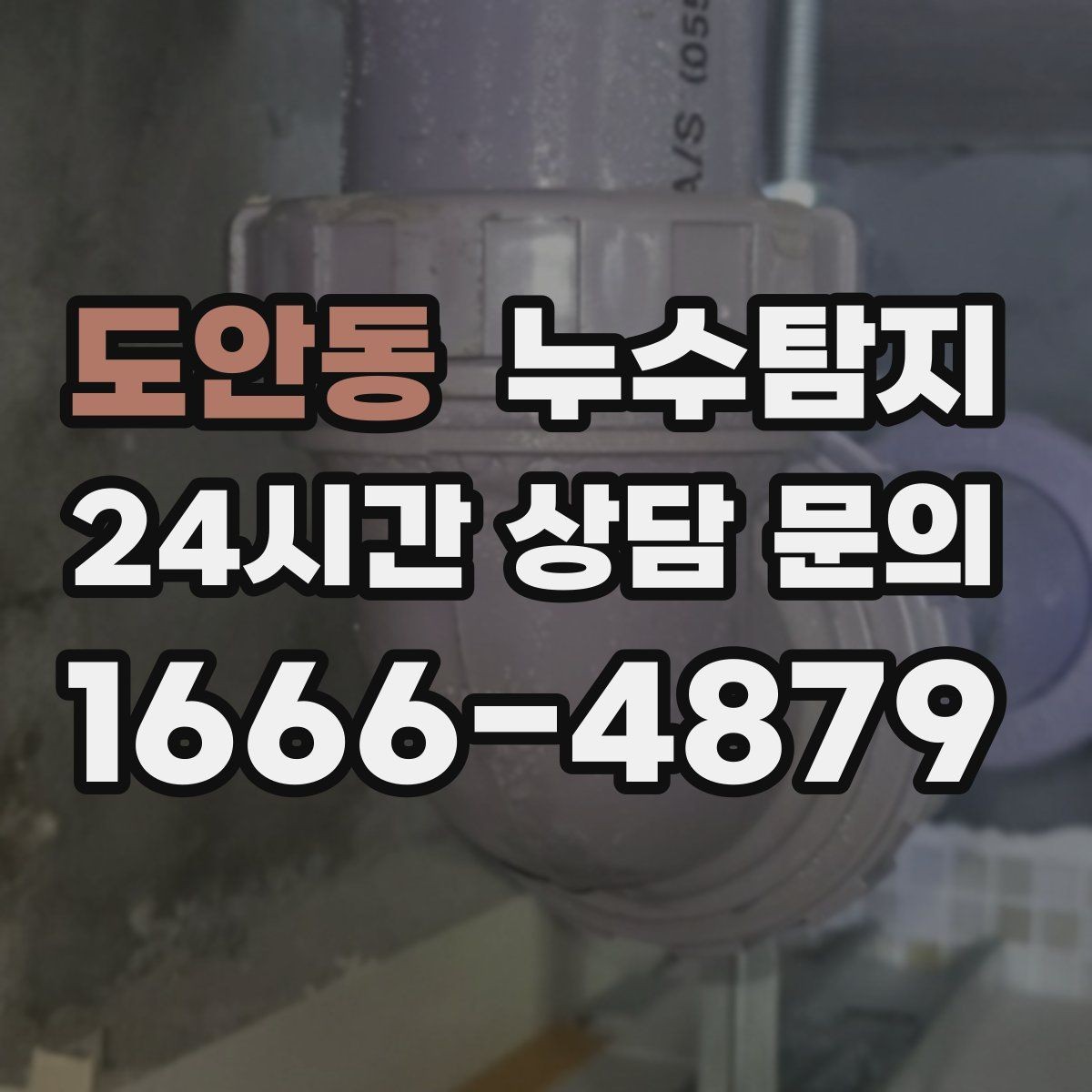 도안동 누수탐지 사진과 영상으로 남긴 복구 기록