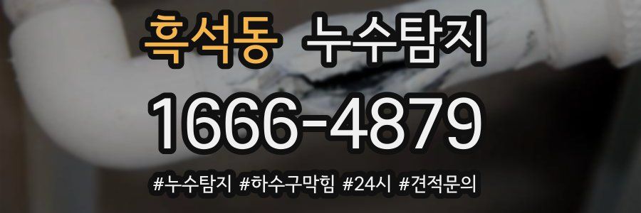 누수닥터 누수탐지
