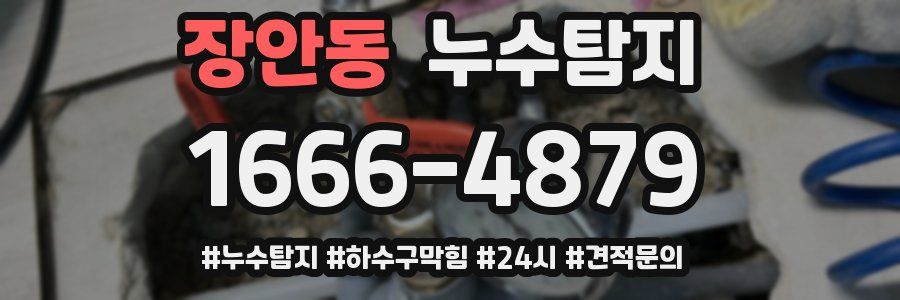 누수닥터 누수탐지