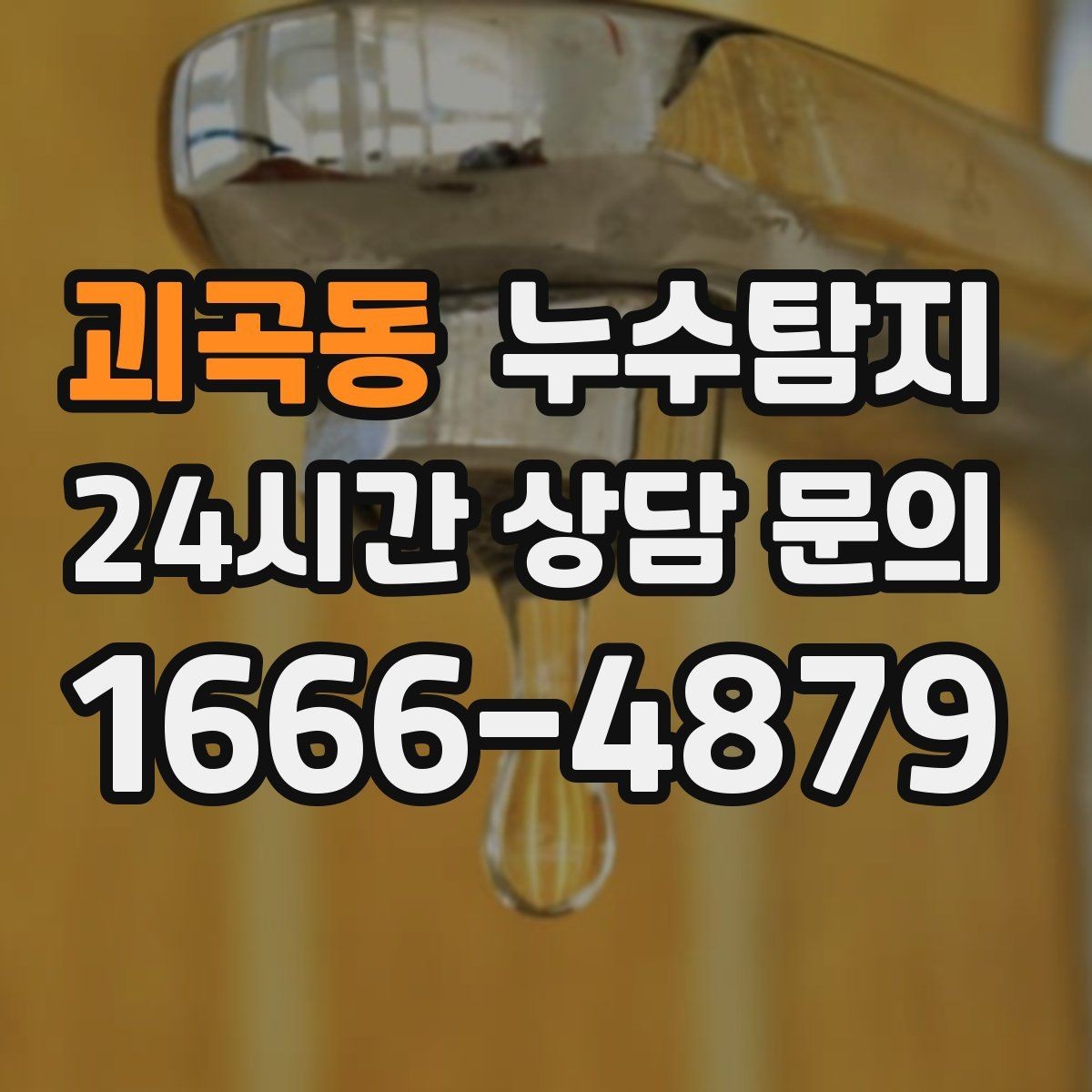 괴곡동 누수탐지 카페 천장 얼룩 복구 경험담