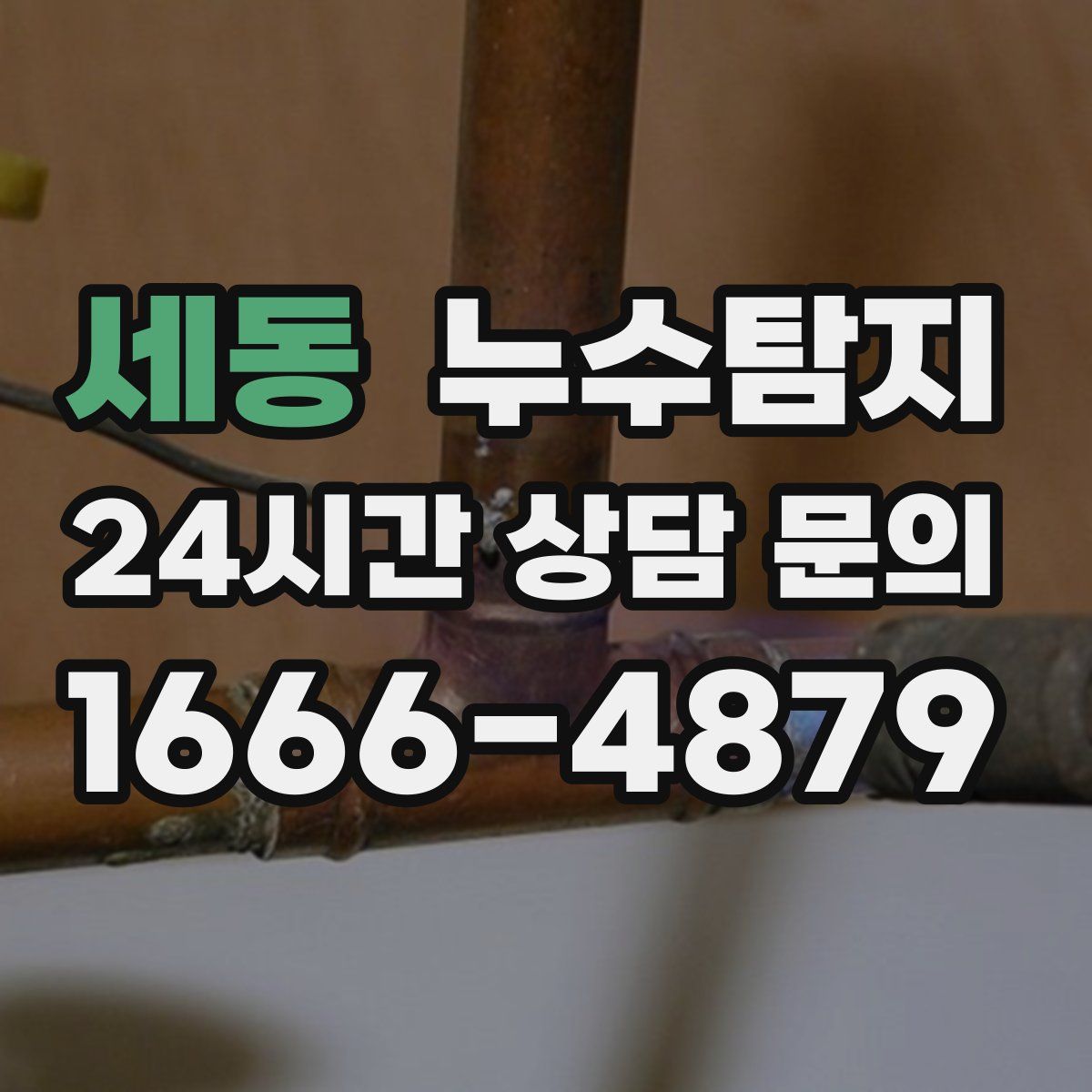 누수탐지