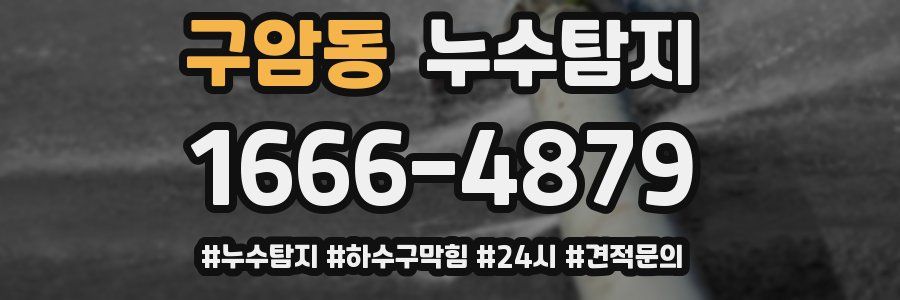 누수닥터 누수탐지