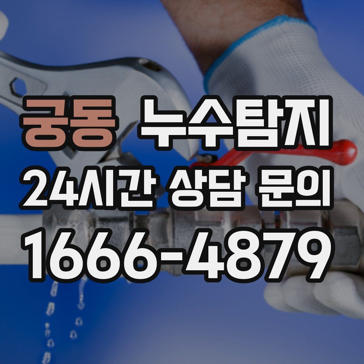 궁동 누수탐지 하부장 곰팡이 정리하고 재발 방지