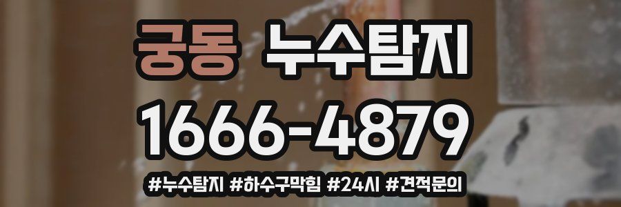 누수닥터 누수탐지